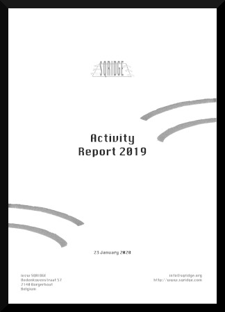 Activity Report 2019