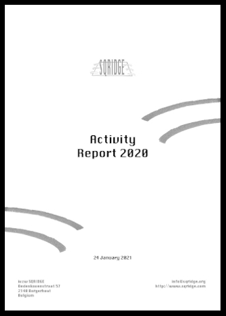 Activity Report 2020