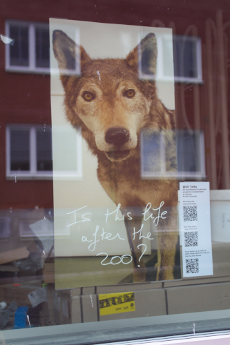 Wolf Talks photograph in Uppsala